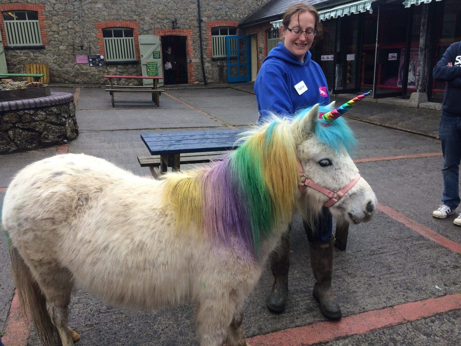 Mini pony for sale near me